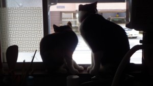 IMGP0032