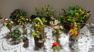 IMGP0059