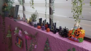 IMGP0056