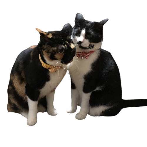 整理して