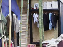 Give-Life 写真No,5